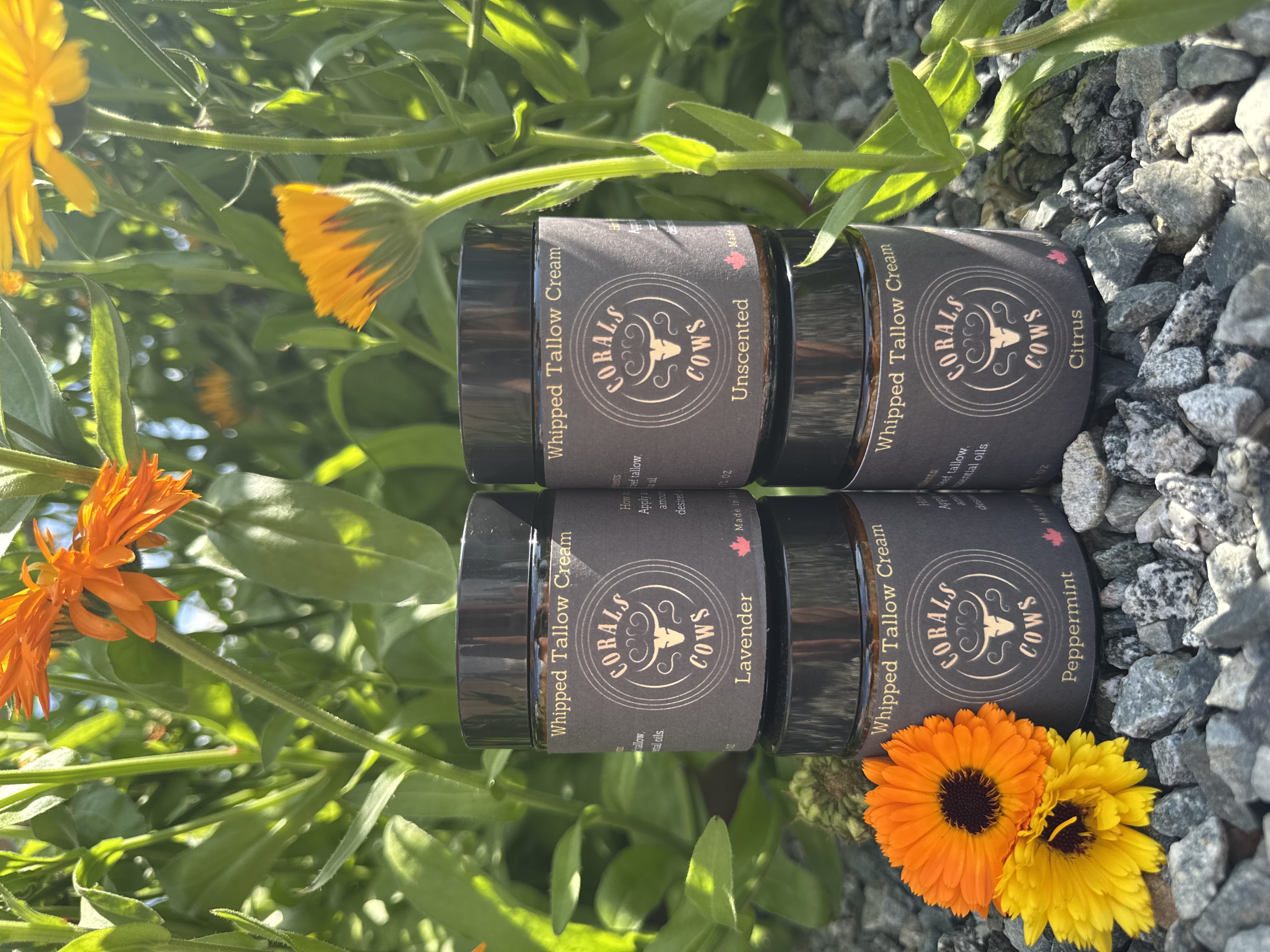 Lavender Whipped Tallow Cream